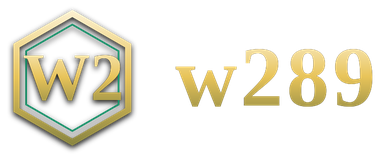 w289 โลโก้
